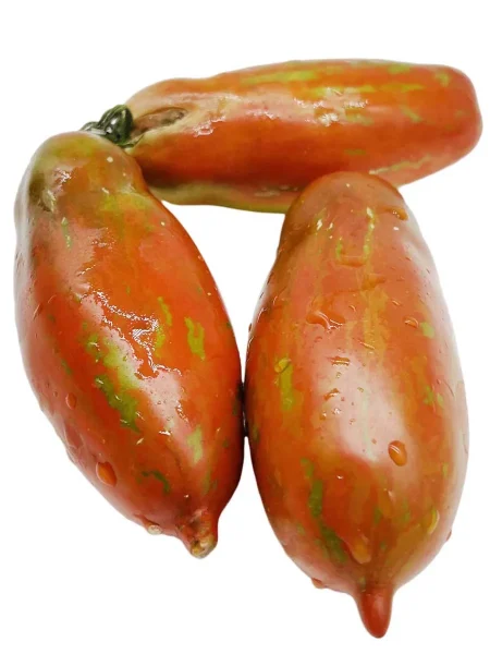 gnom-vosstanie-boksera-6-175457