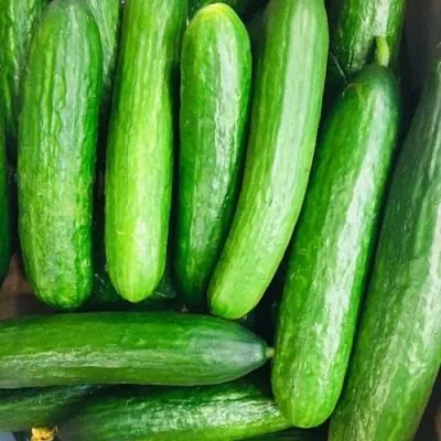 grin-king-main-200641