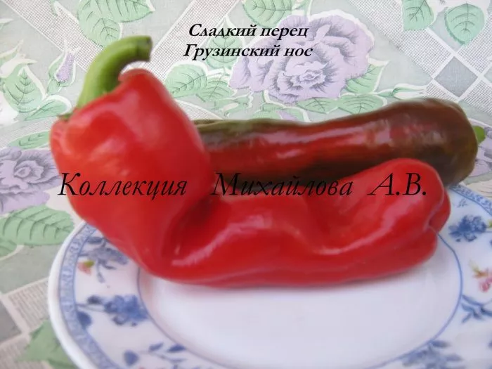 gruzinskiy-nos-10-179383