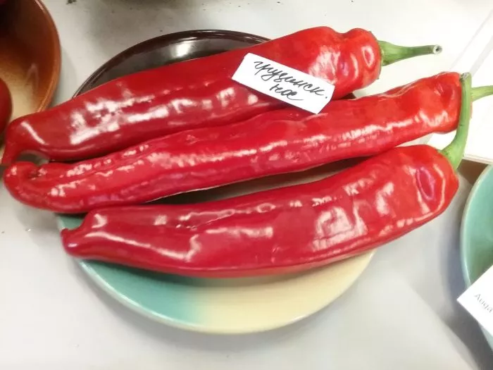 gruzinskiy-nos-4-179383