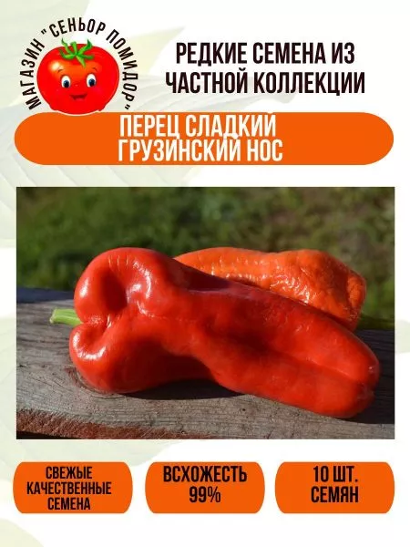 gruzinskiy-nos-8-179383