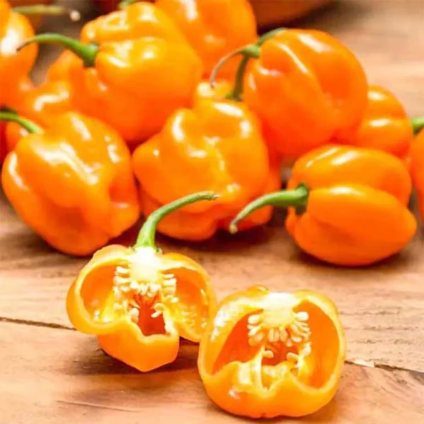 habanero-oranzhevyy-habanero-orange-main-186263