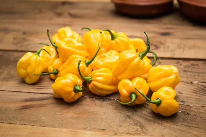 habanero-zheltyy-habanero-yellow-2-180557