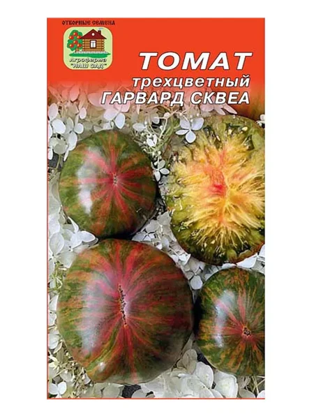 harvard-skver-2-170603