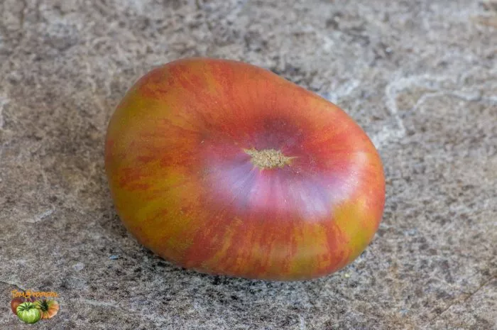 harvard-skver-4-170603