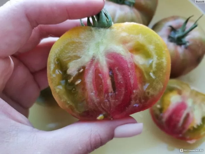 harvard-skver-9-170603