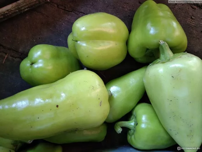 ilya-muromets-5-181128