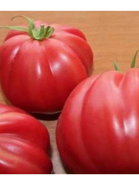 inzhir-krasnyy-4-174646