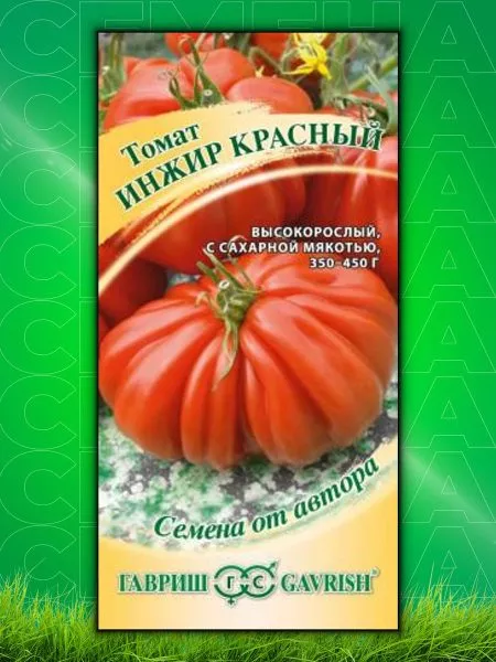 inzhir-krasnyy-6-174646