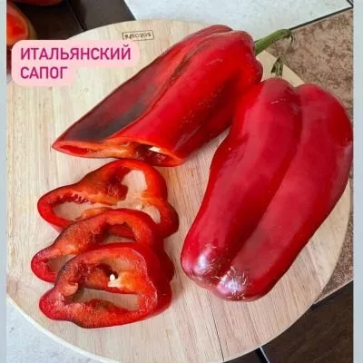 italyanskiy-sapog-10-184506