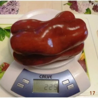 italyanskiy-sapog-11-184506