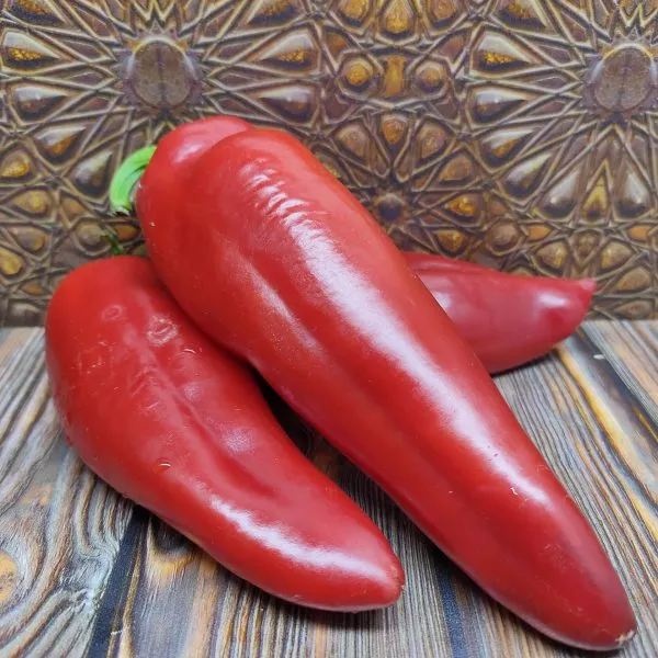 italyanskiy-sapog-3-184506