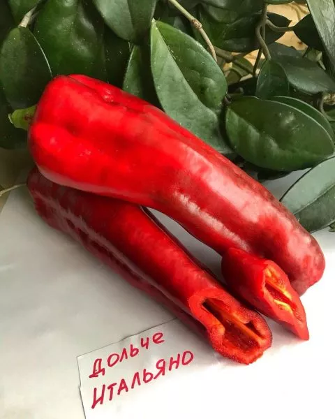 italyanskiy-sapog-6-184506