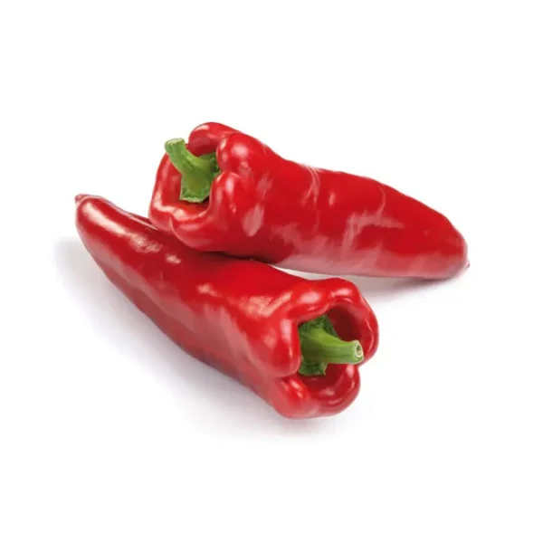 italyanskiy-sapog-7-184506