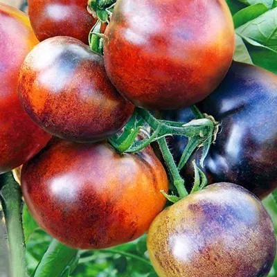 ivan-da-marya-4-172548