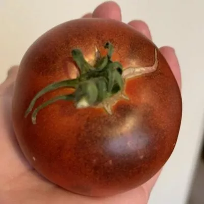 ivan-da-marya-6-172548