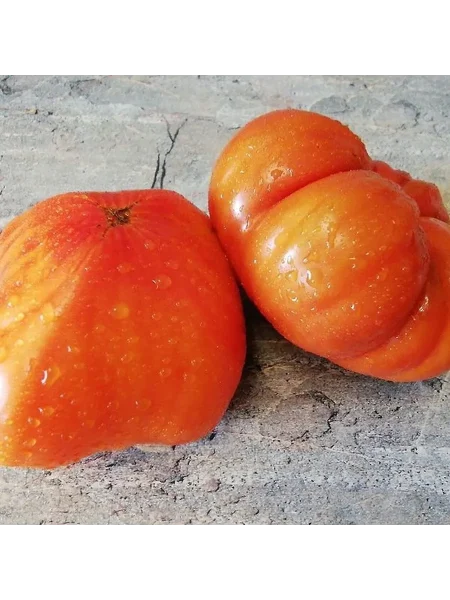 ivuntyanskiy-velikan-1-170539