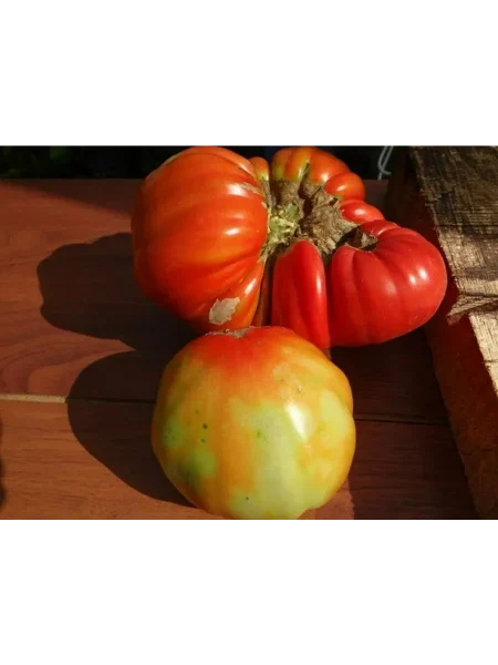 ivuntyanskiy-velikan-3-170539