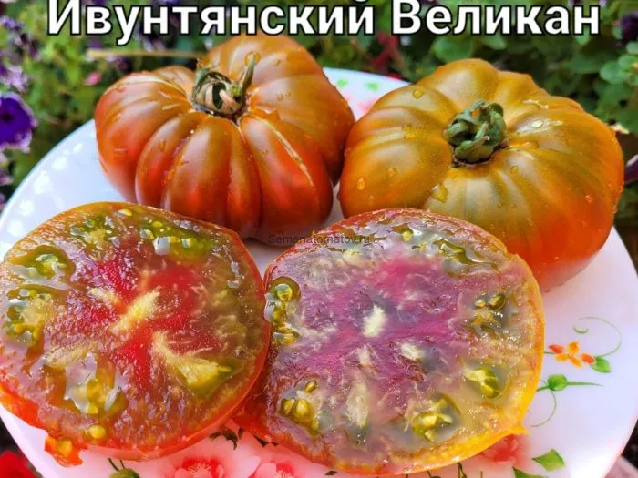 ivuntyanskiy-velikan-6-170539