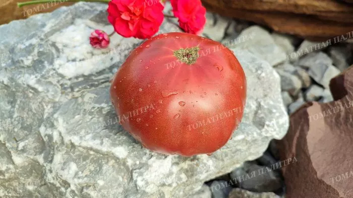 ivuntyanskiy-velikan-9-170539