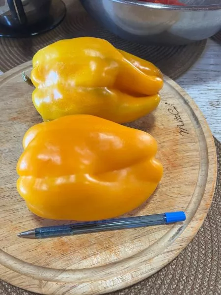 kakadu-oranzhevyy-5-183155