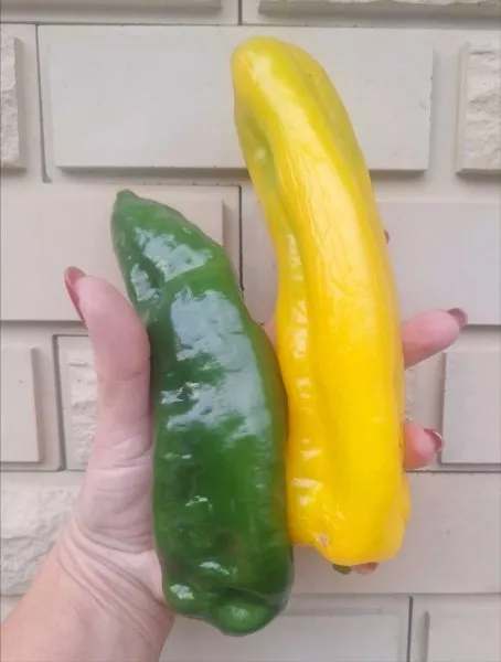 kakadu-zheltyy-3-182888