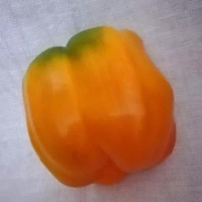 kaliforniyskoe-chudo-zolotoe-8-187425