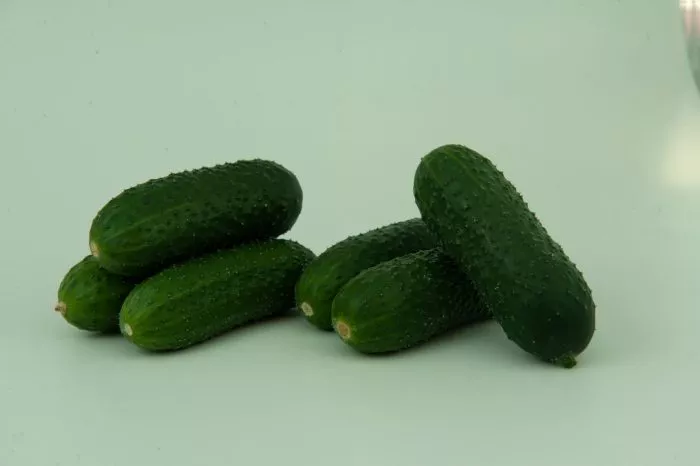 kantsler-main-199808