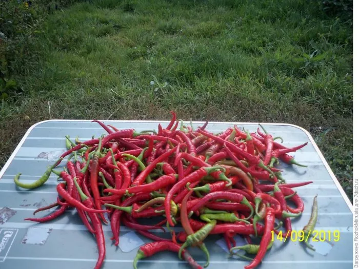 karabas-barabas-5-190935