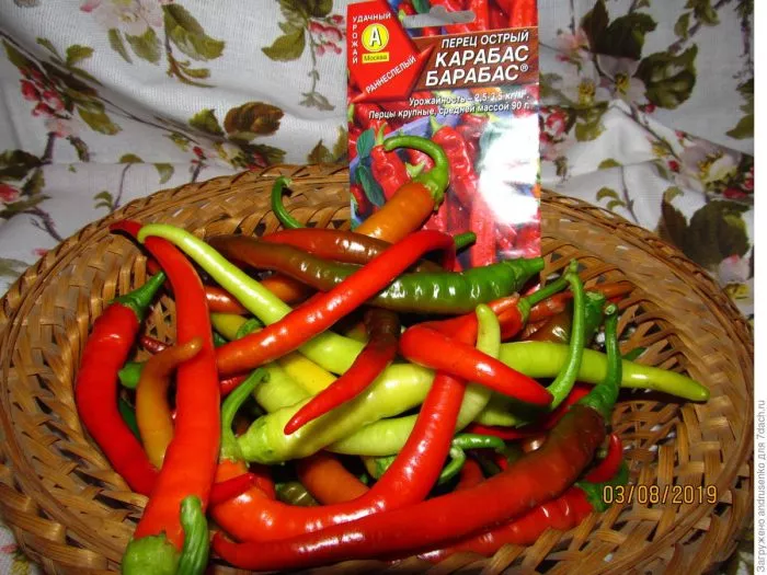 karabas-barabas-main-190935