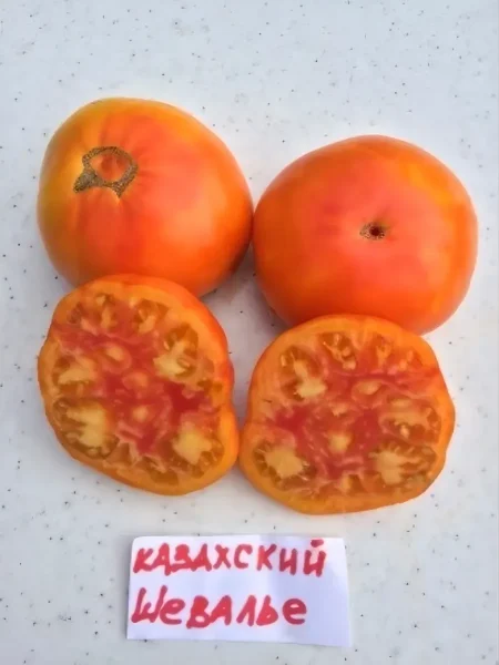 kazahskiy-shevale-1-170304