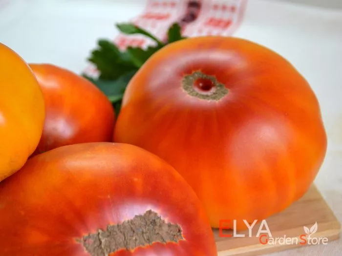 kazahskiy-shevale-2-170304