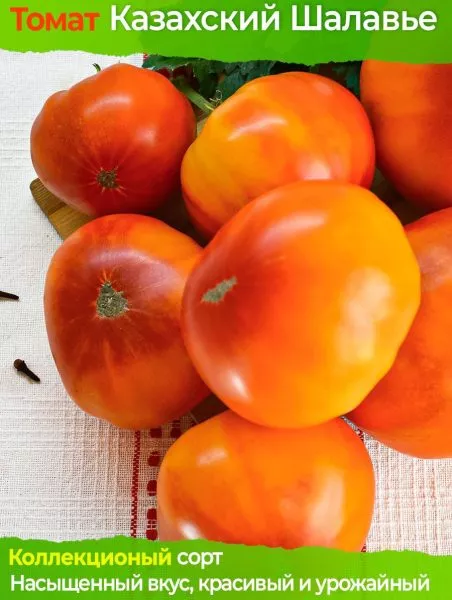 kazahskiy-shevale-3-170304