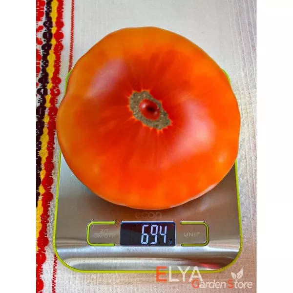 kazahskiy-shevale-6-170304