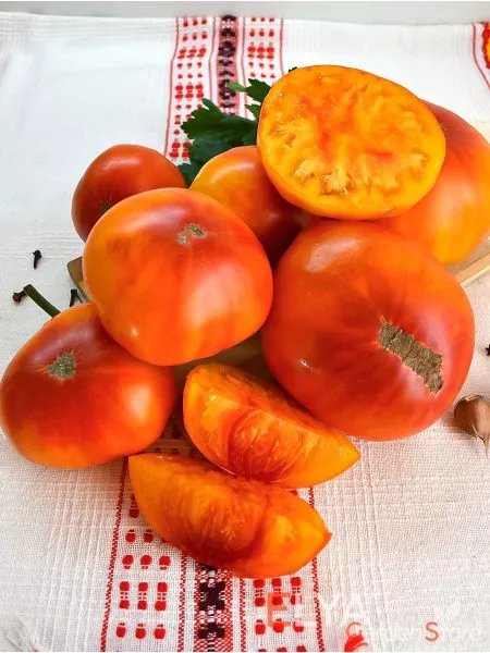 kazahskiy-shevale-main-170304