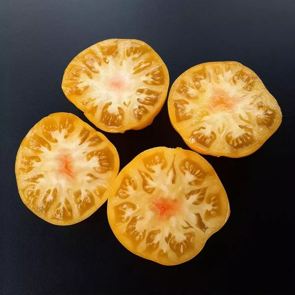 kazahstanskiy-zheltyy-3-175841