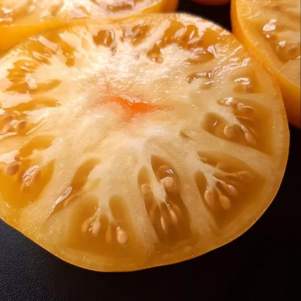 kazahstanskiy-zheltyy-5-175841