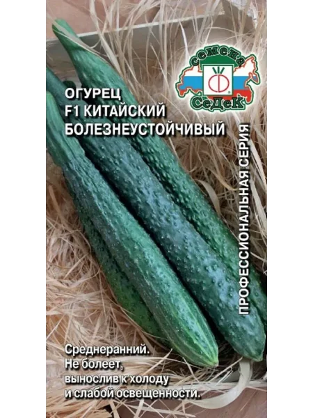 kitayskiy-bolezneustoychivyy-2-198324