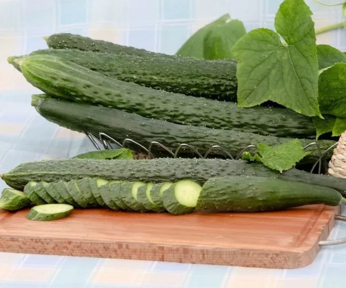 kitayskiy-bolezneustoychivyy-main-198324