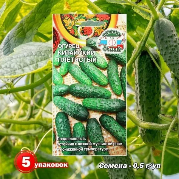 kitayskiy-pletistyy-2-200787