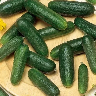 kitayskiy-pletistyy-3-200787