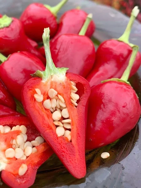 klubnichnyy-chili-main-185328