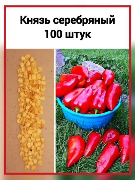 knyaz-serebryanyy-5-180417