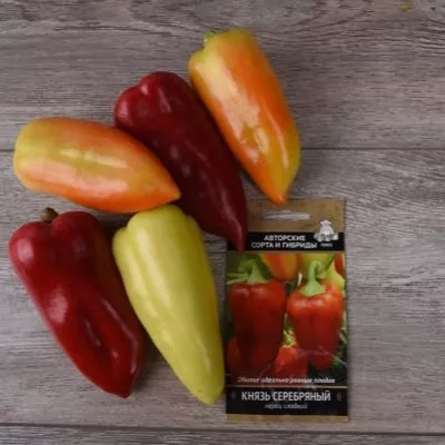 knyaz-serebryanyy-6-180417