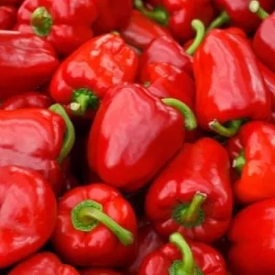 knyaz-serebryanyy-7-180417