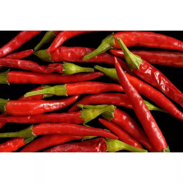 kogot-orla-main-187192