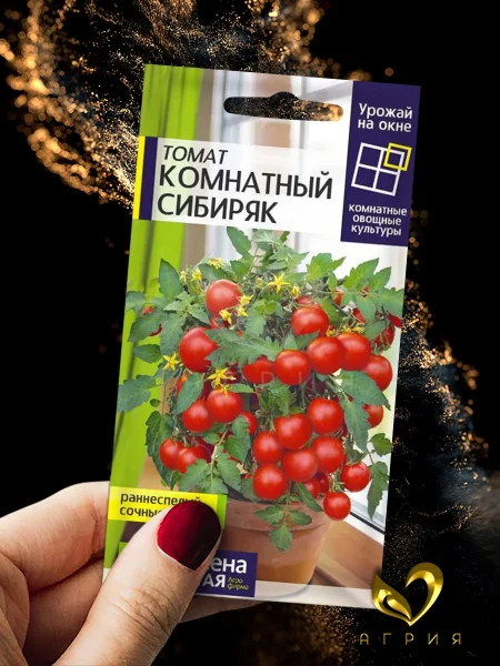 komnatnyy-sibiryak-1-175741