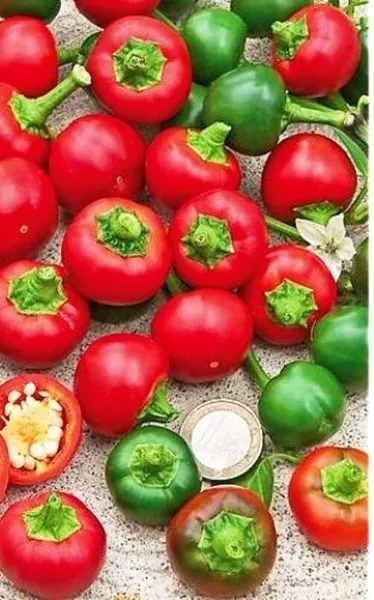 konfetka-main-185412