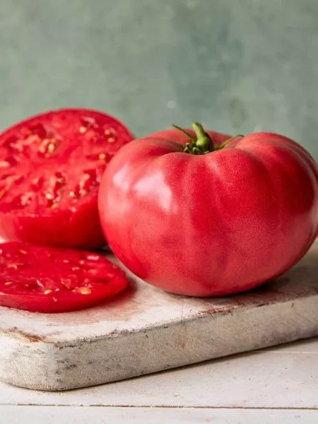 konyachnyy-malchik-3-176015