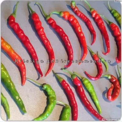 kope-indeytsa-4-190941